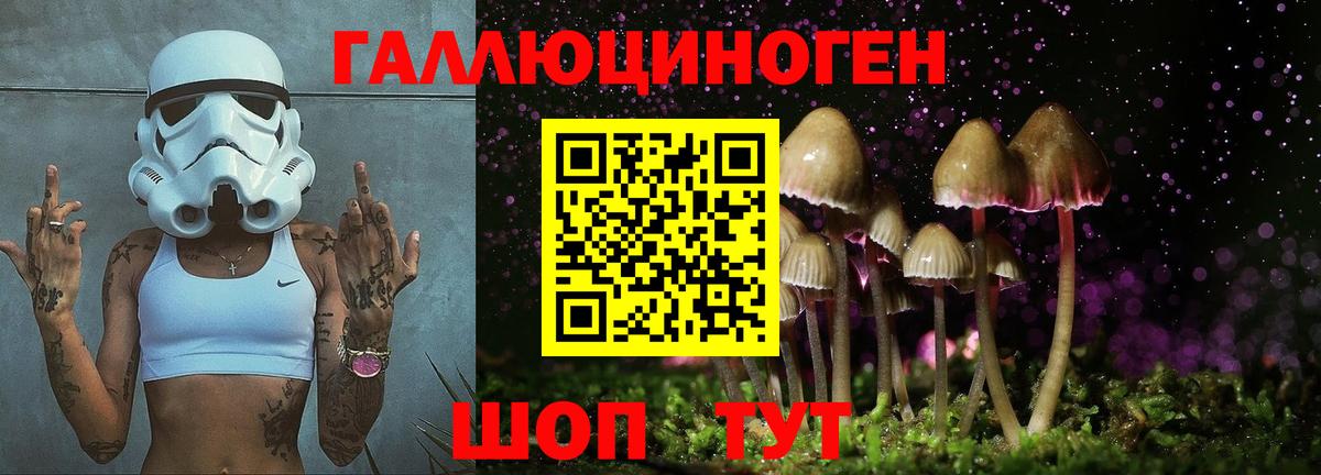 Петрозаводск  как найти наркотики  Вход с VPN  Галлюциногенные грибы Magic Shrooms  Галлюциногенные грибы GOLDEN TEACHER 